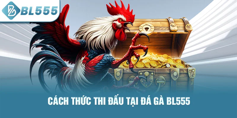 Cách thức thi đấu tại đá gà bl555