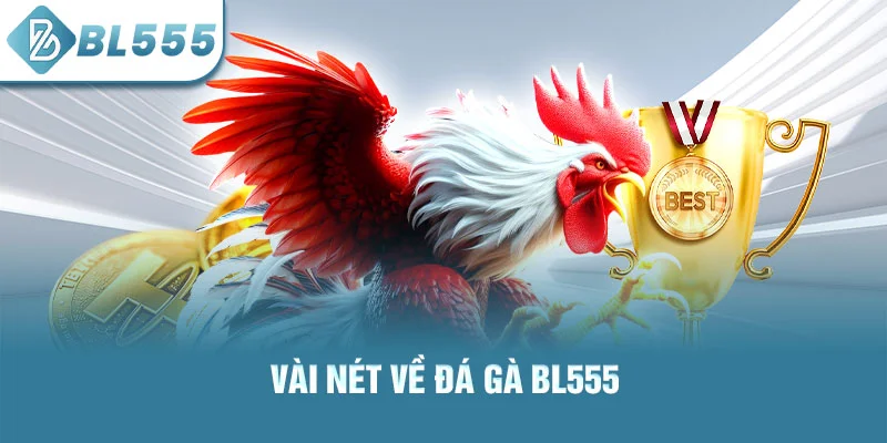 Vài nét về đá gà bl555